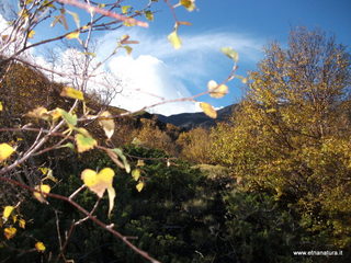llone monte Zappinazzo-04-11-2012 10-10-05